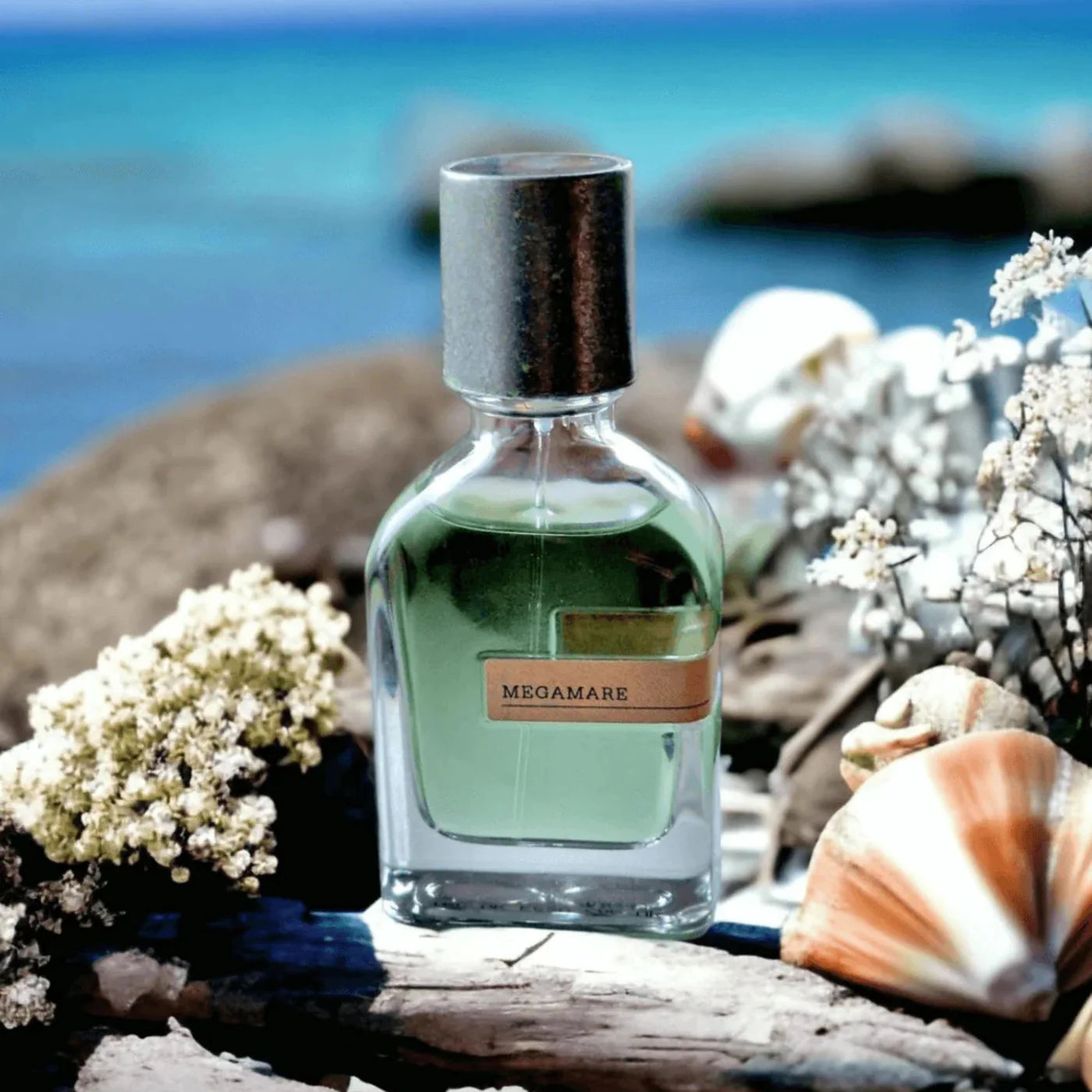 MEGAMARE ORTO PARISI 50ML UNISEX